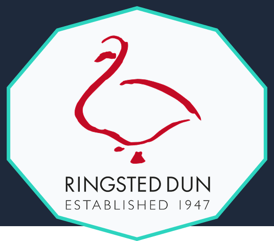 RingstedDun